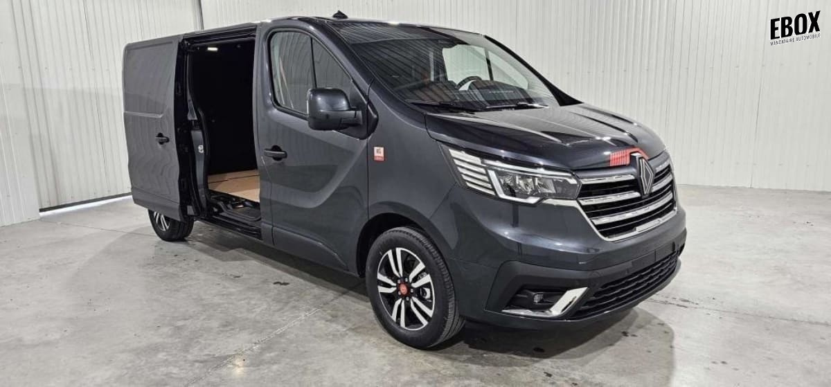 391691_p2 - RENAULT - TRAFIC - 2026 - photo 4