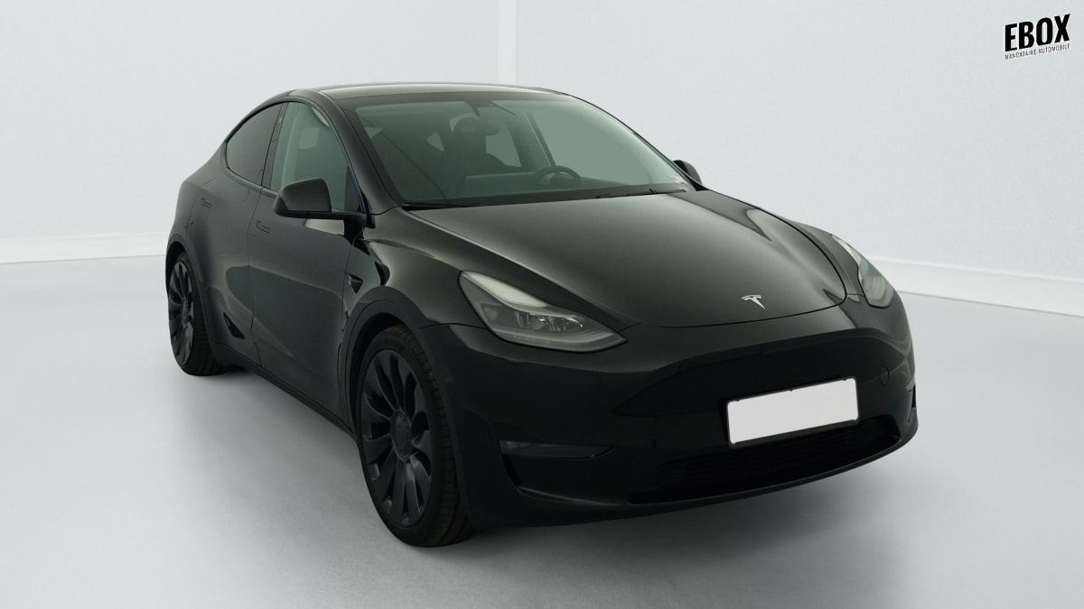 383233_p2 - TESLA - MODEL Y - 2023 - photo 1