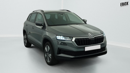 391287_p2 - SKODA - KAROQ - 2024
