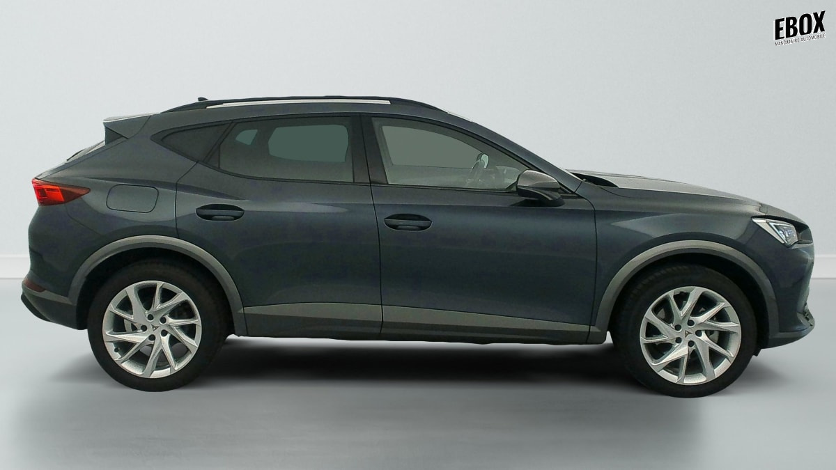 389095_p2 - CUPRA - FORMENTOR - 2003 - photo 8