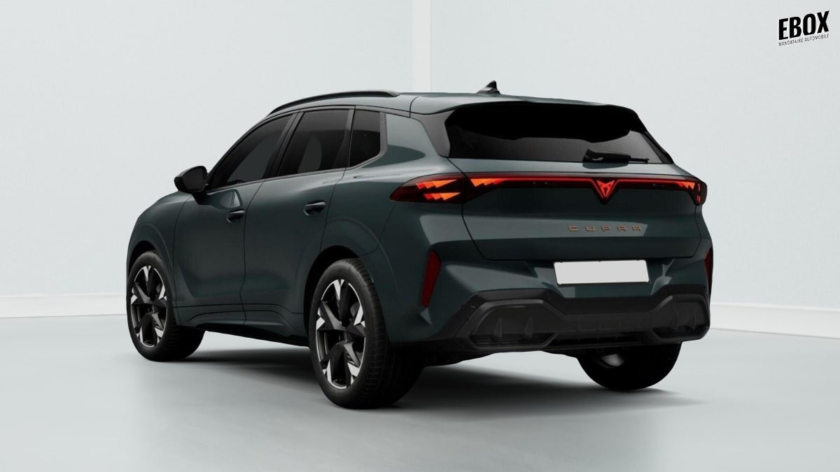 394588_p2 - CUPRA - TERRAMAR - 2026 - photo 3