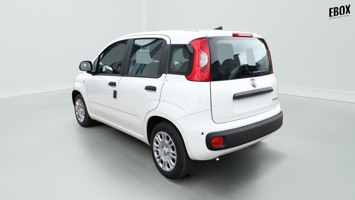 395316_p2 - FIAT - PANDA - 2026 - photo 3