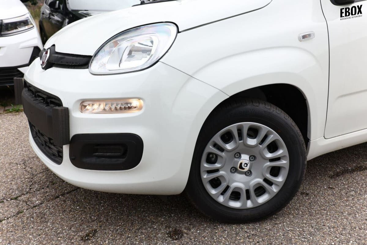 395316_p2 - FIAT - PANDA - 2026 - photo 10