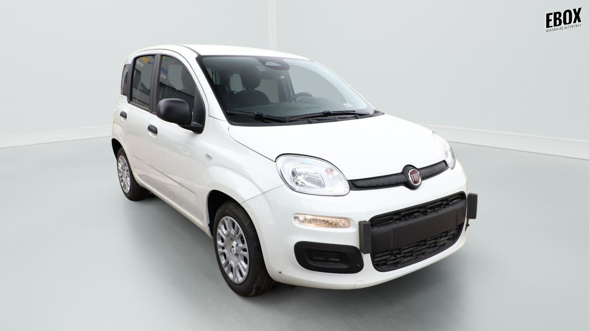 395316_p2 - FIAT - PANDA - 2026 - photo 1