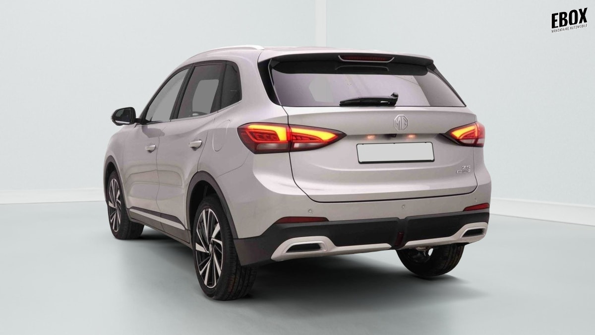 395221_p2 - MG - ZS - 2026 - photo 3