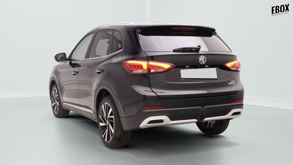 379231_p2 - MG - ZS - 2026 - photo 3