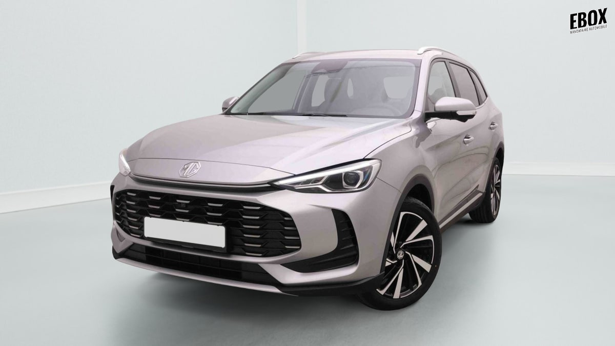 395221_p2 - MG - ZS - 2026 - photo 1