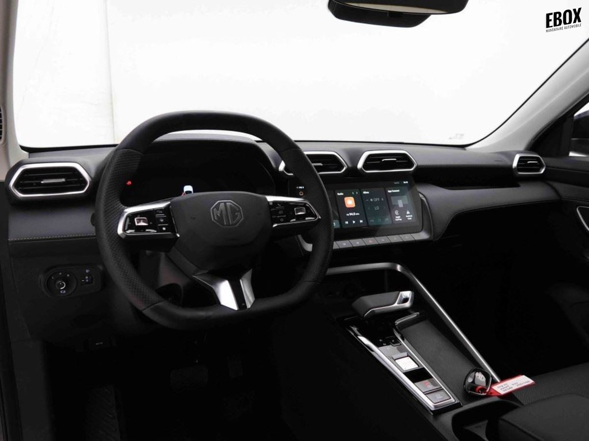 379231_p2 - MG - ZS - 2026 - photo 6
