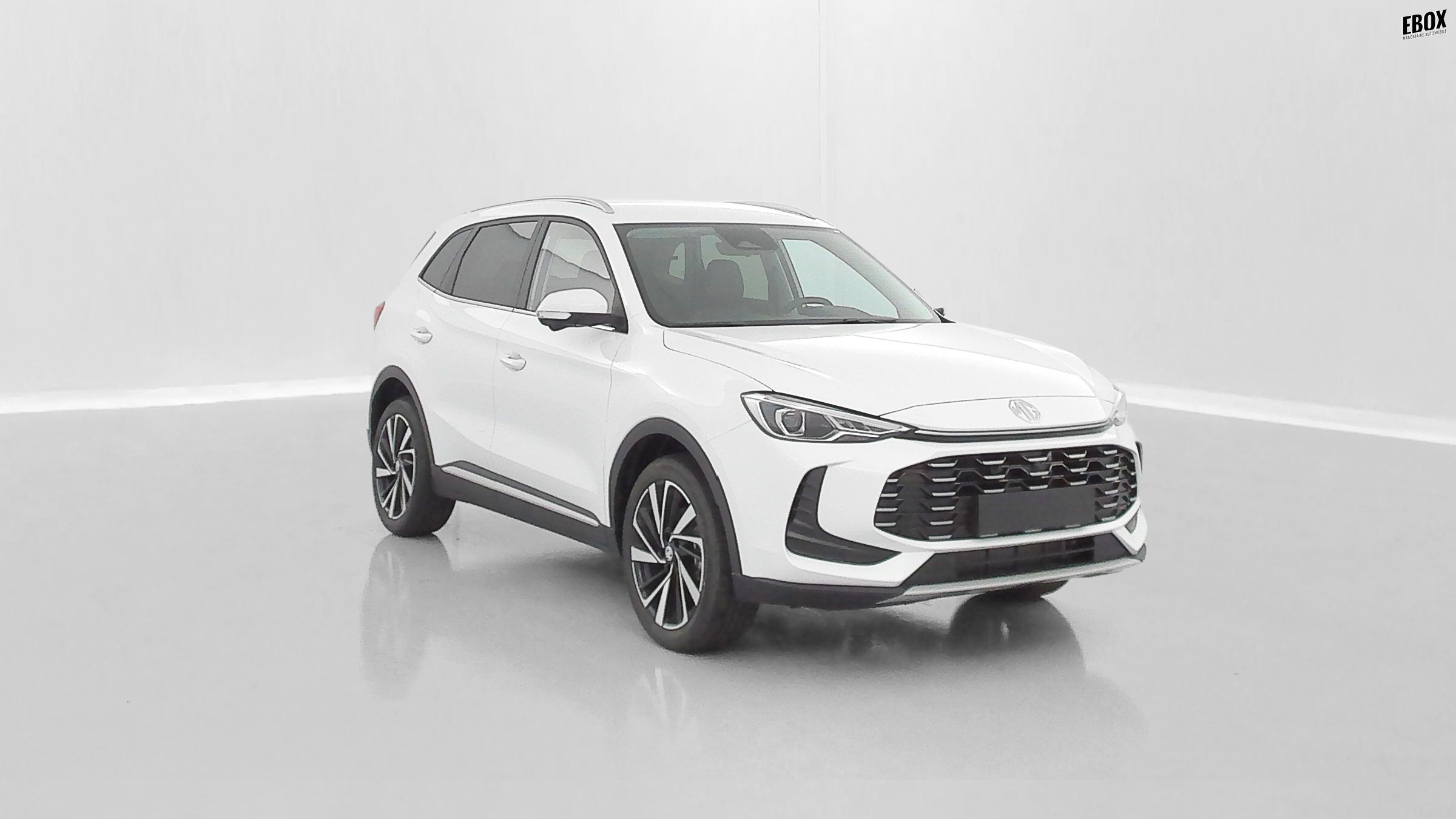GLI00033470_p53 - MG - ZS - 2026 - photo 1