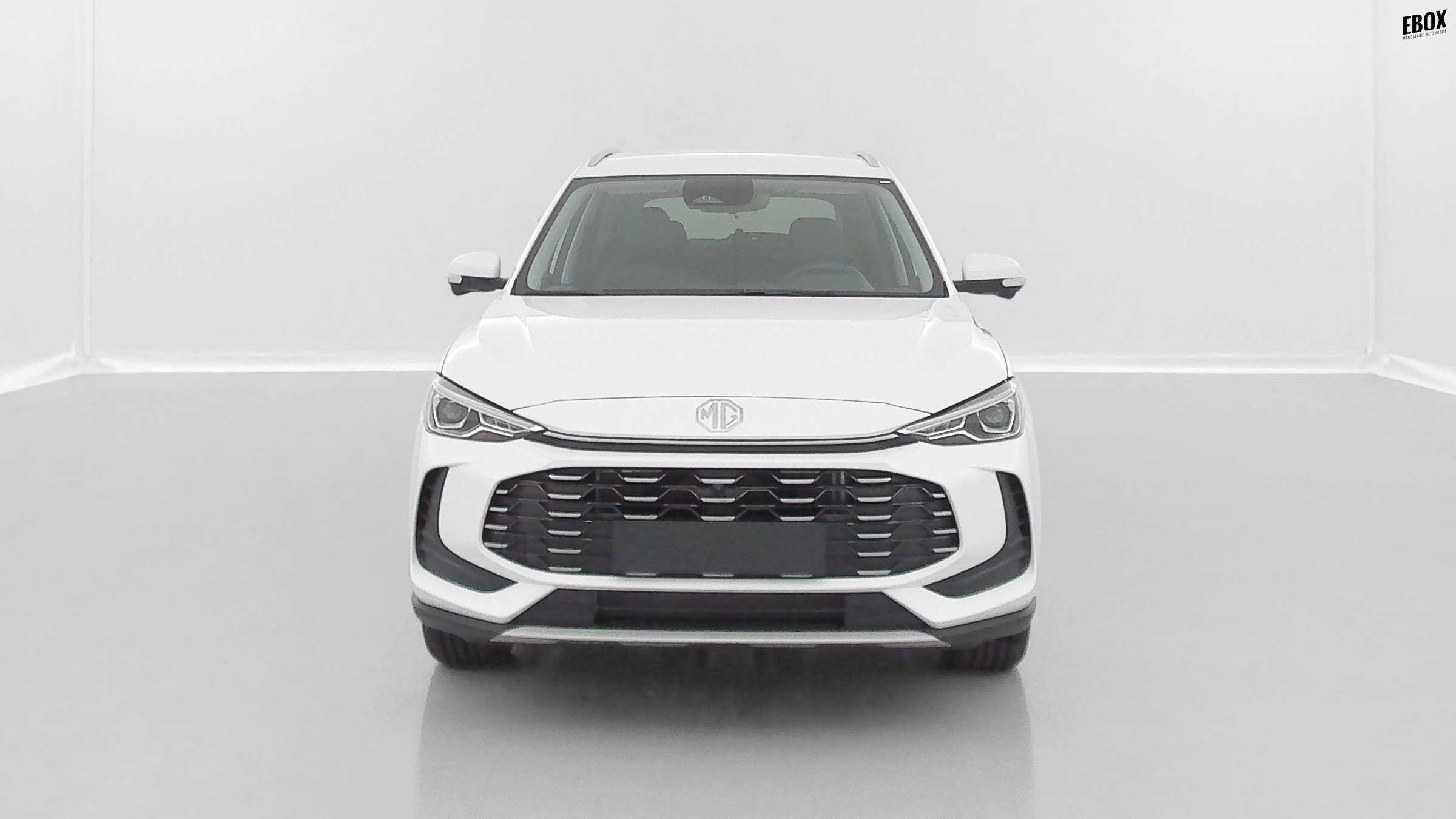 GLI00033470_p53 - MG - ZS - 2026 - photo 2