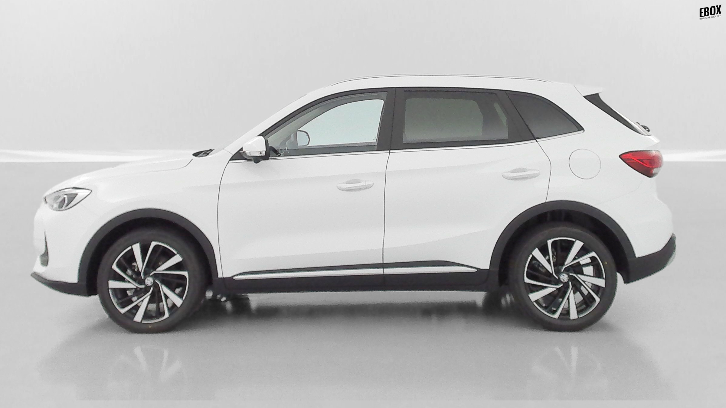 GLI00033470_p53 - MG - ZS - 2026 - photo 4