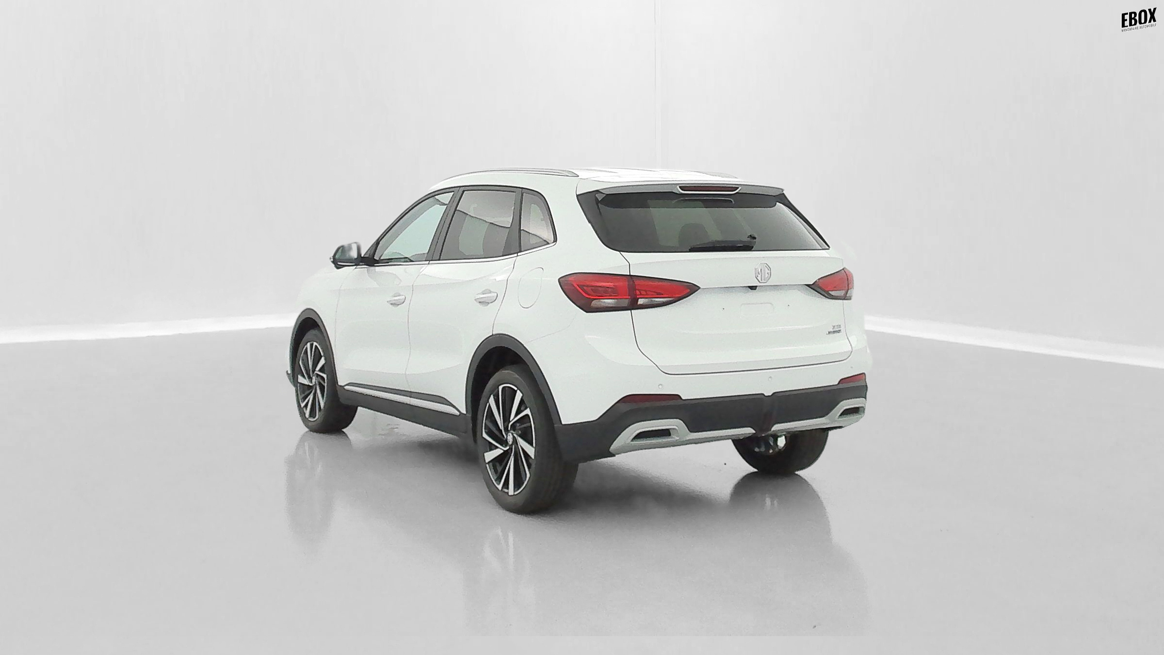 GLI00033470_p53 - MG - ZS - 2026 - photo 5