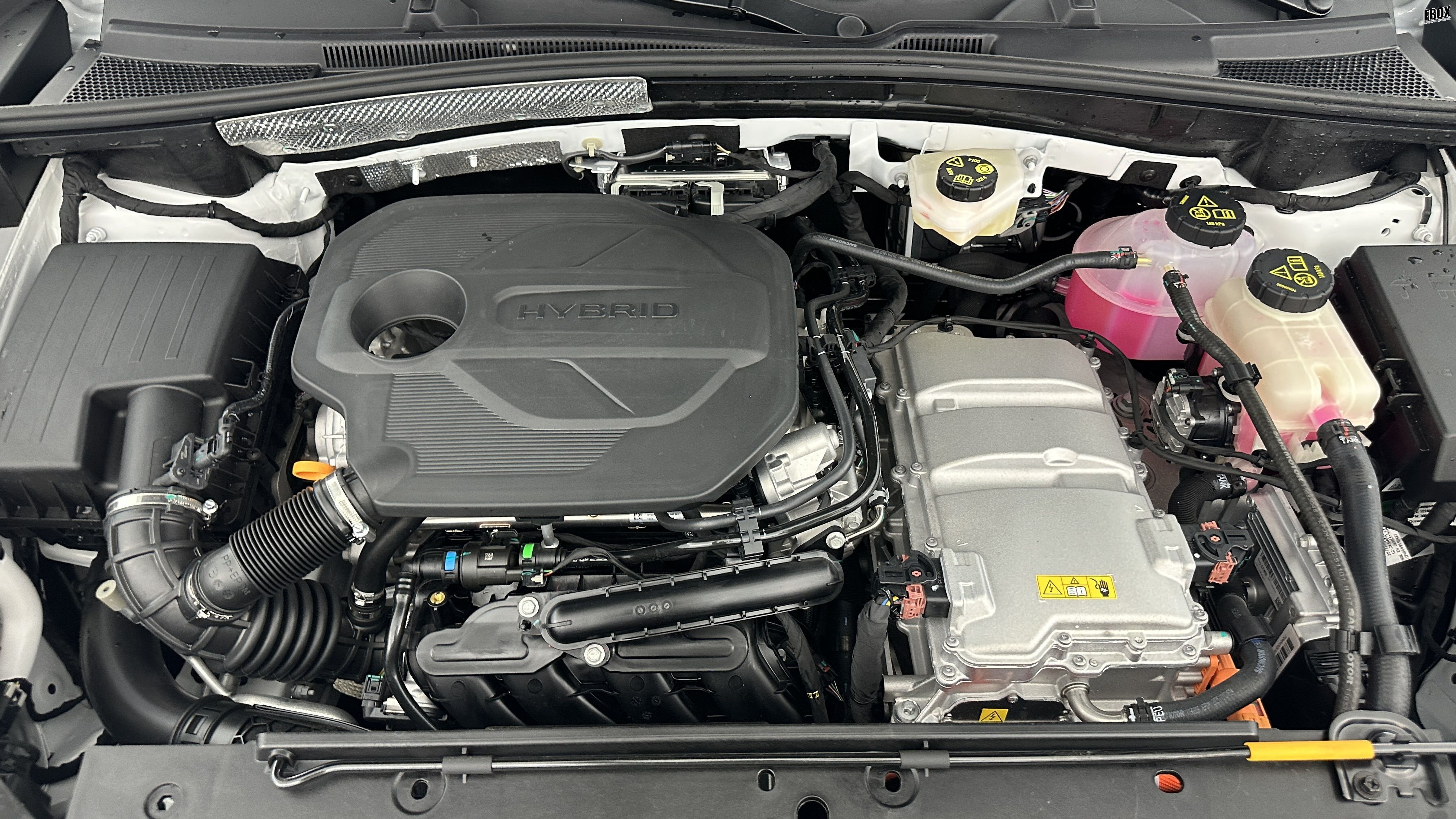 GLI00033470_p53 - MG - ZS - 2026 - photo 11