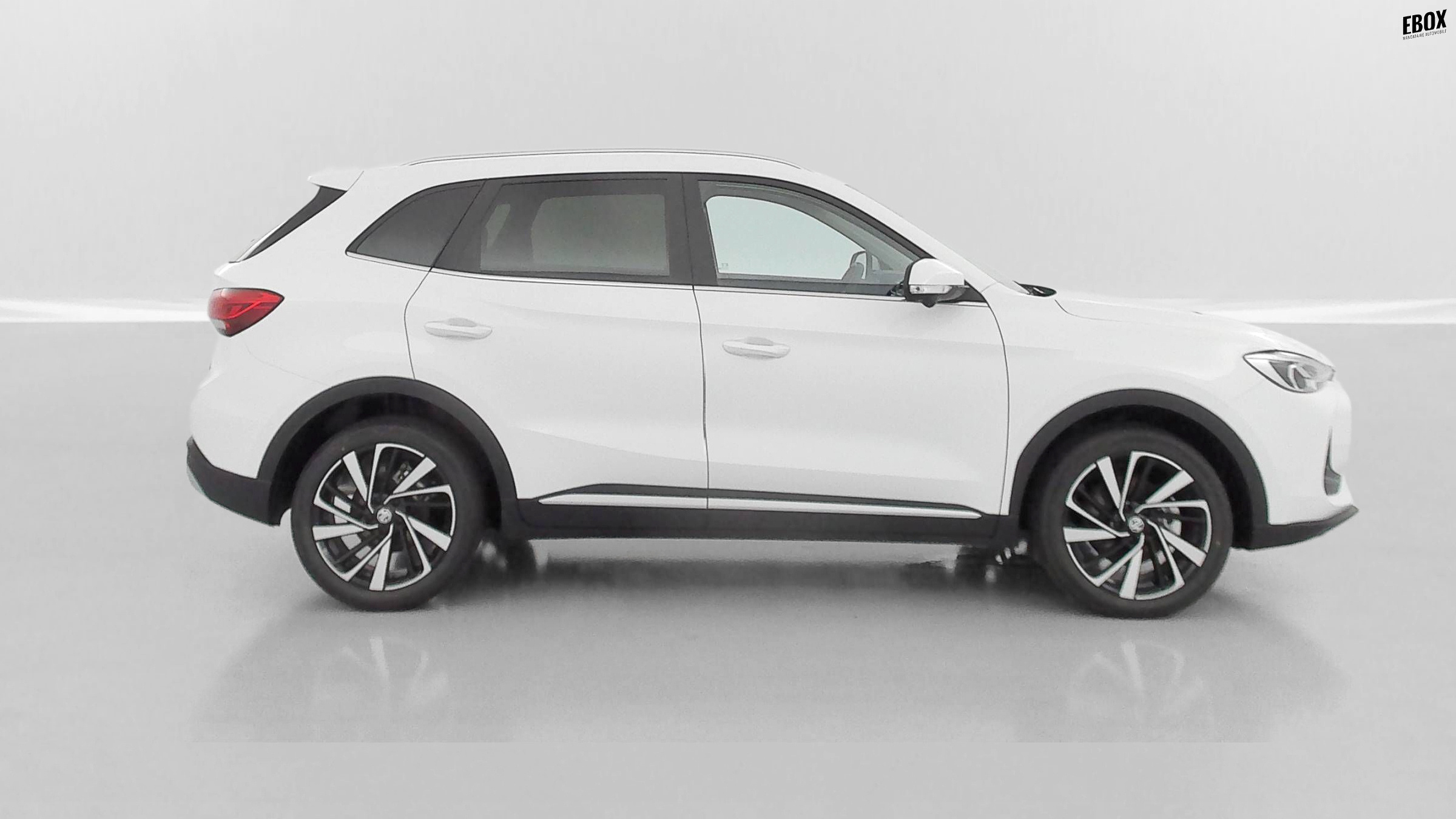 GLI00033470_p53 - MG - ZS - 2026 - photo 28