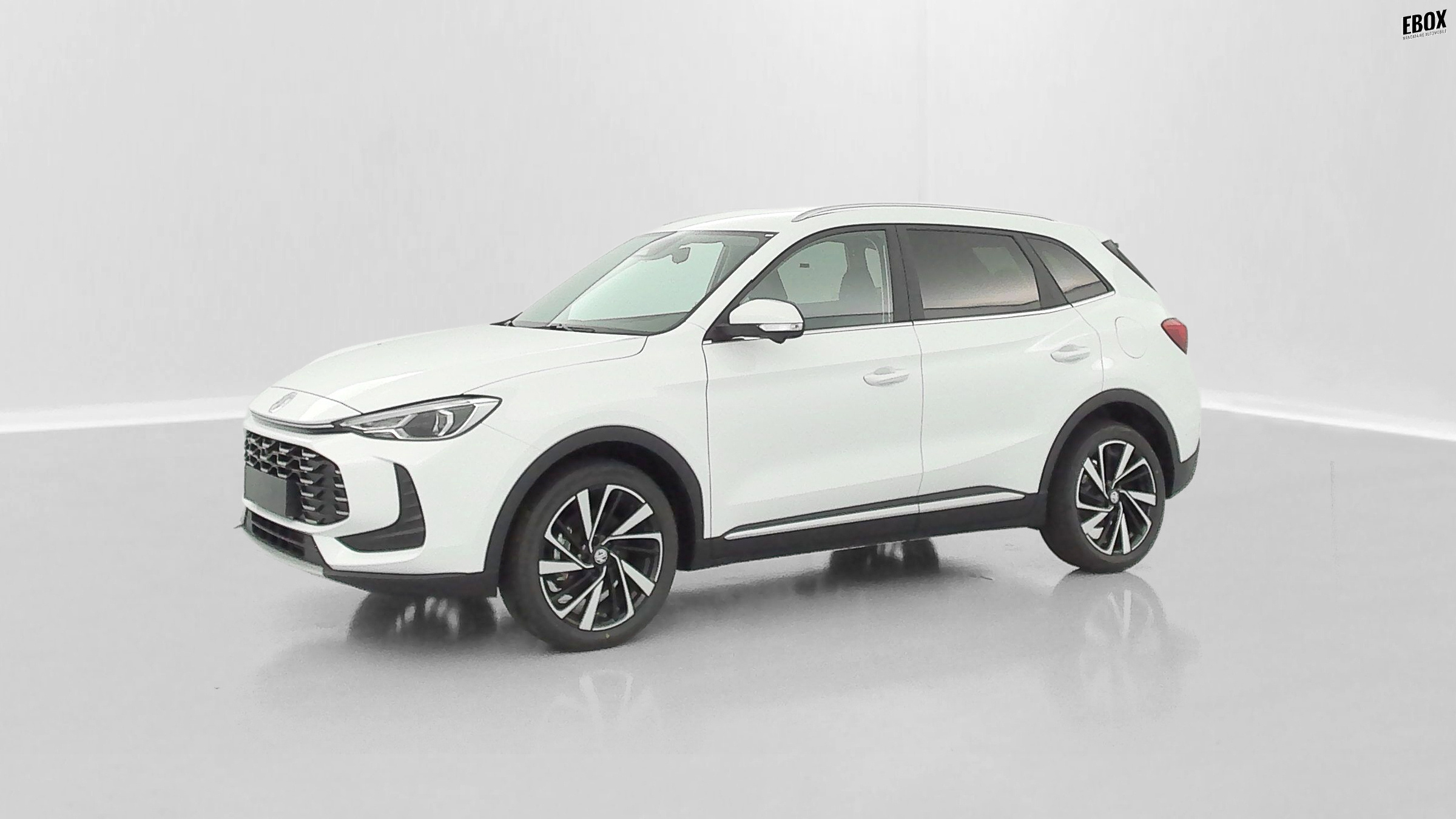 GLI00033470_p53 - MG - ZS - 2026 - photo 29