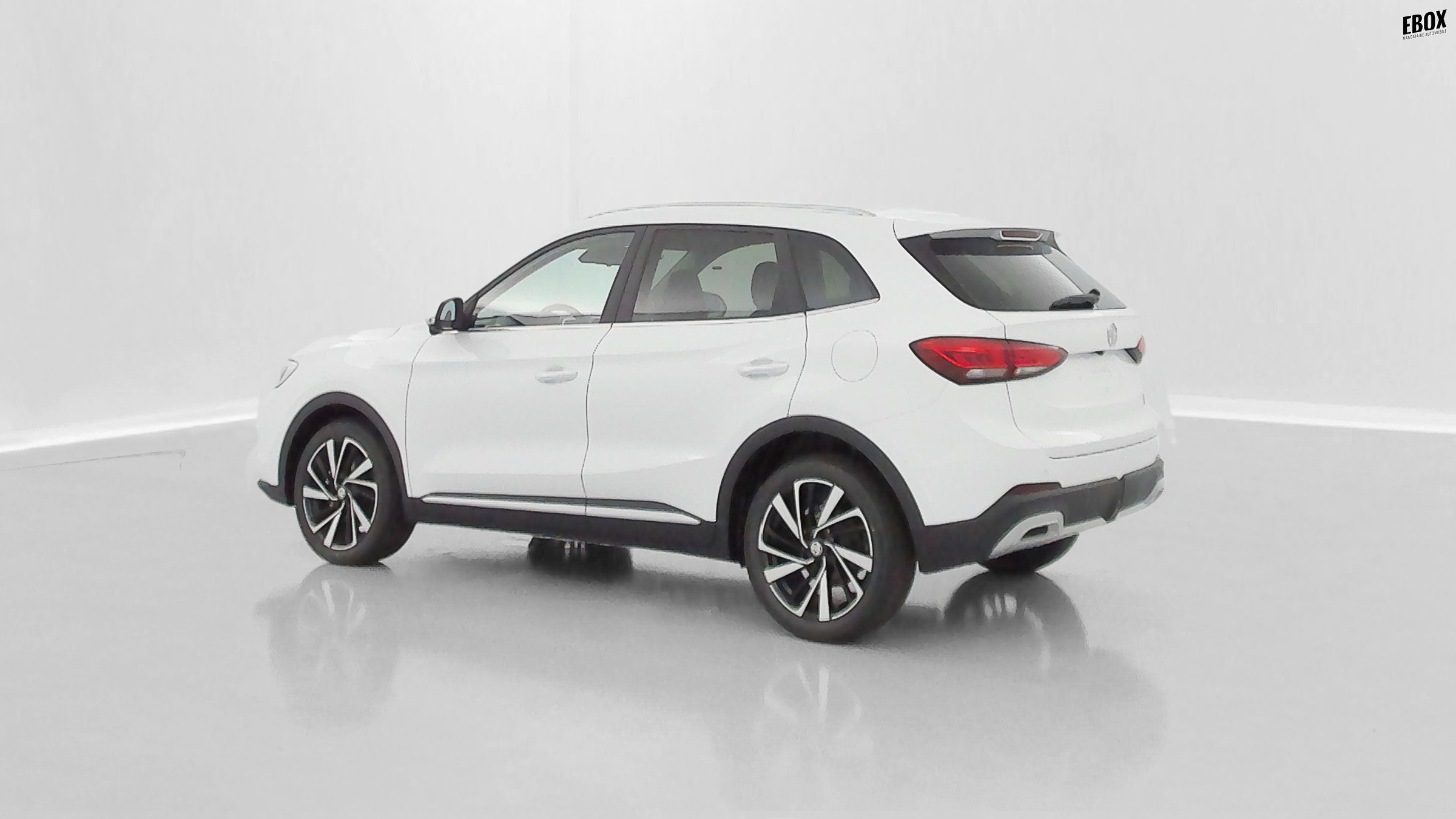 GLI00033470_p53 - MG - ZS - 2026 - photo 30