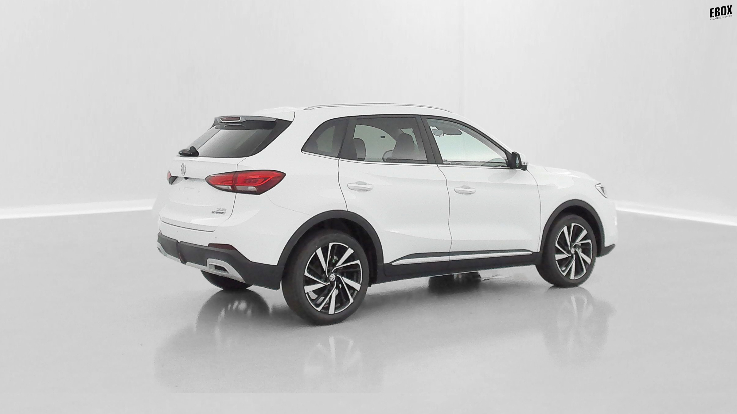 GLI00033470_p53 - MG - ZS - 2026 - photo 31