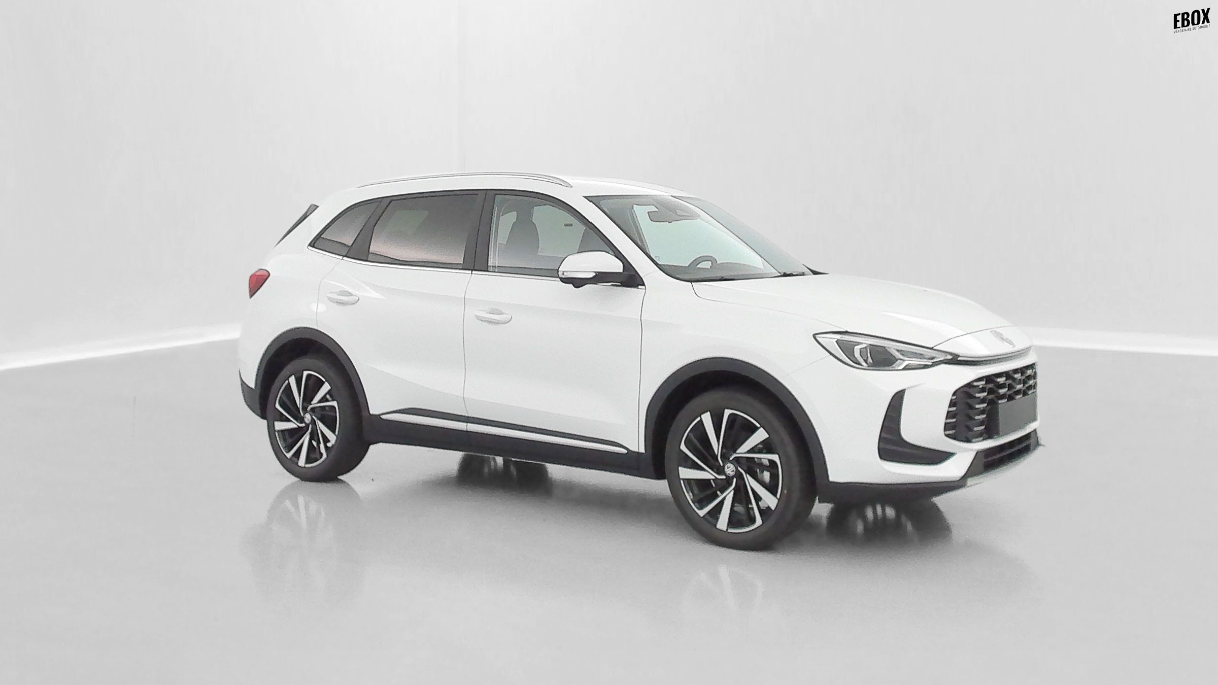 GLI00033470_p53 - MG - ZS - 2026 - photo 32