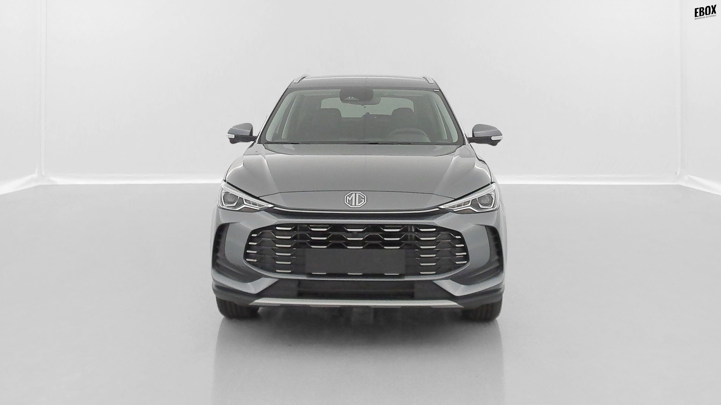 GLI00033404_p53 - MG - ZS - 2026 - photo 2