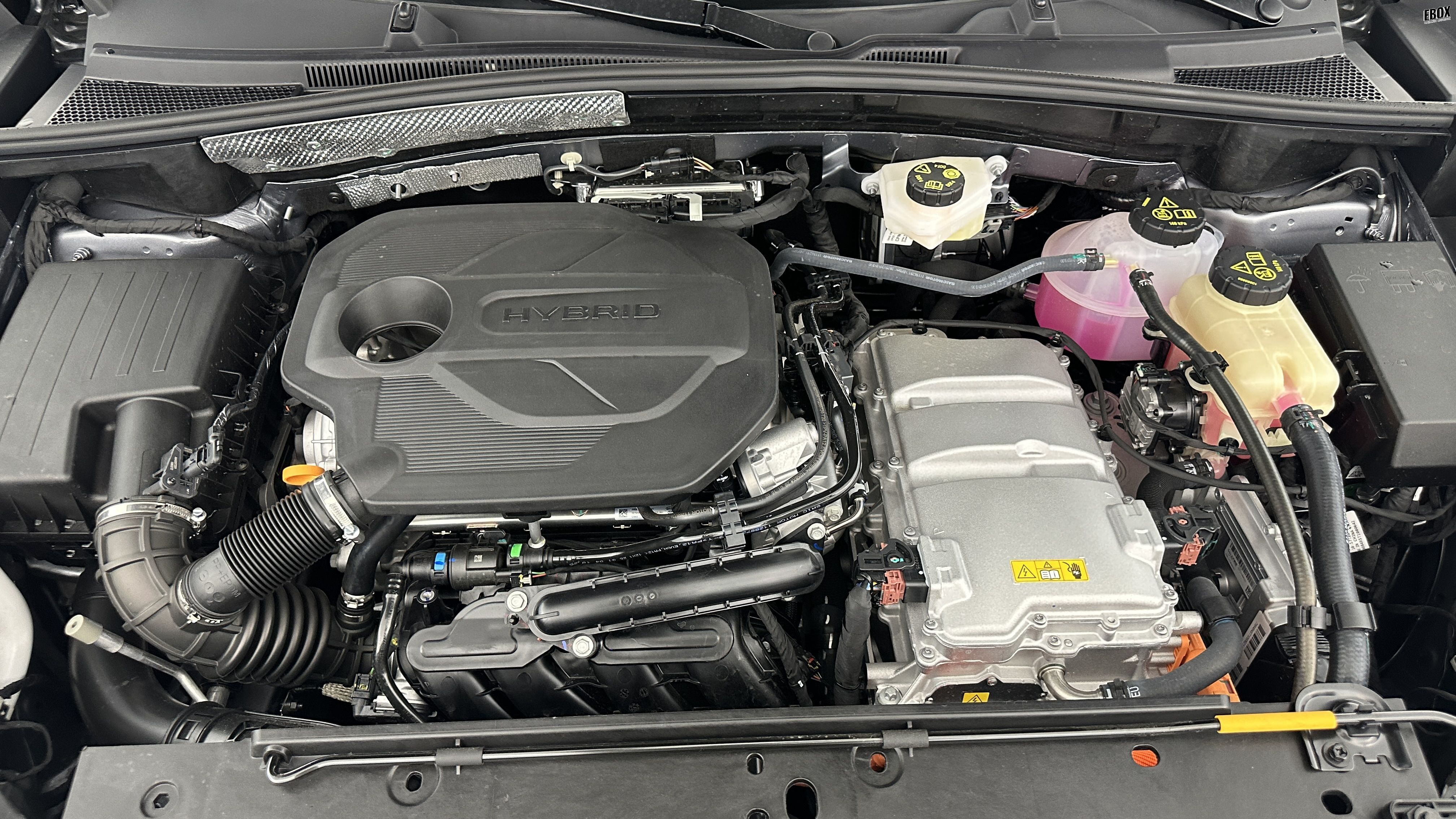 GLI00033402_p53 - MG - ZS - 2026 - photo 11