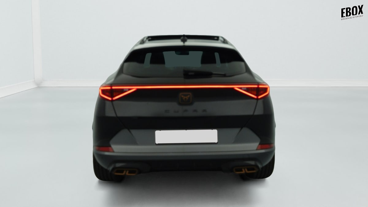 388745_p2 - CUPRA - FORMENTOR - 2024 - photo 6