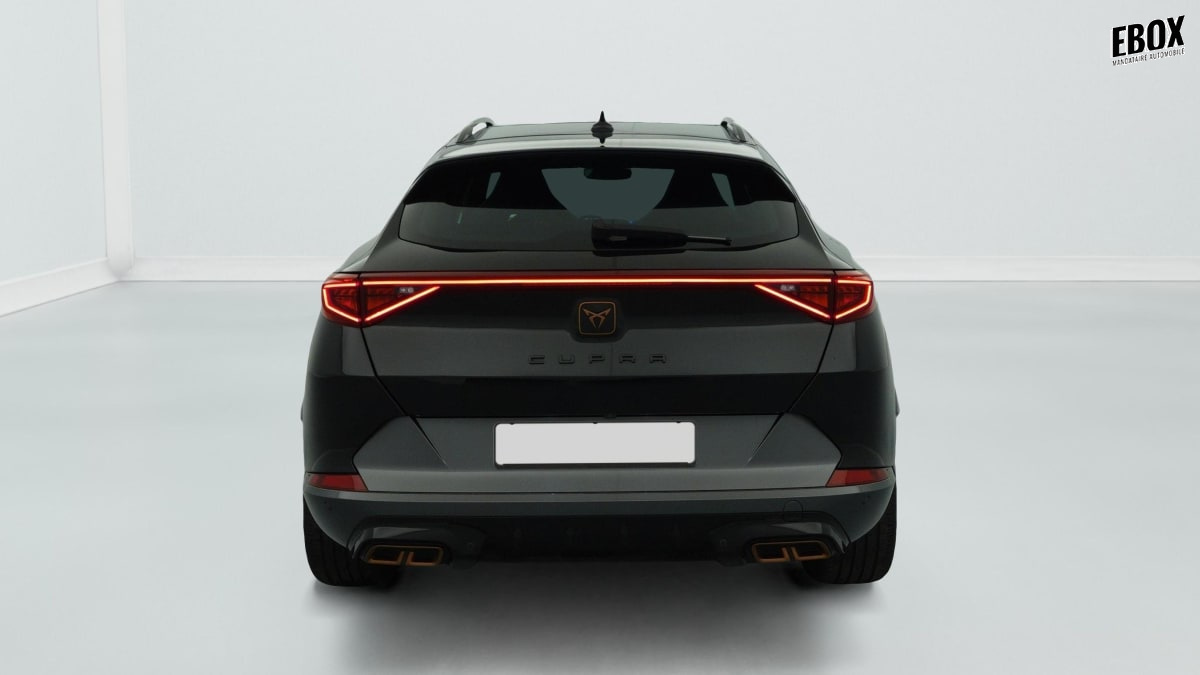 388588_p2 - CUPRA - FORMENTOR - 2024 - photo 6