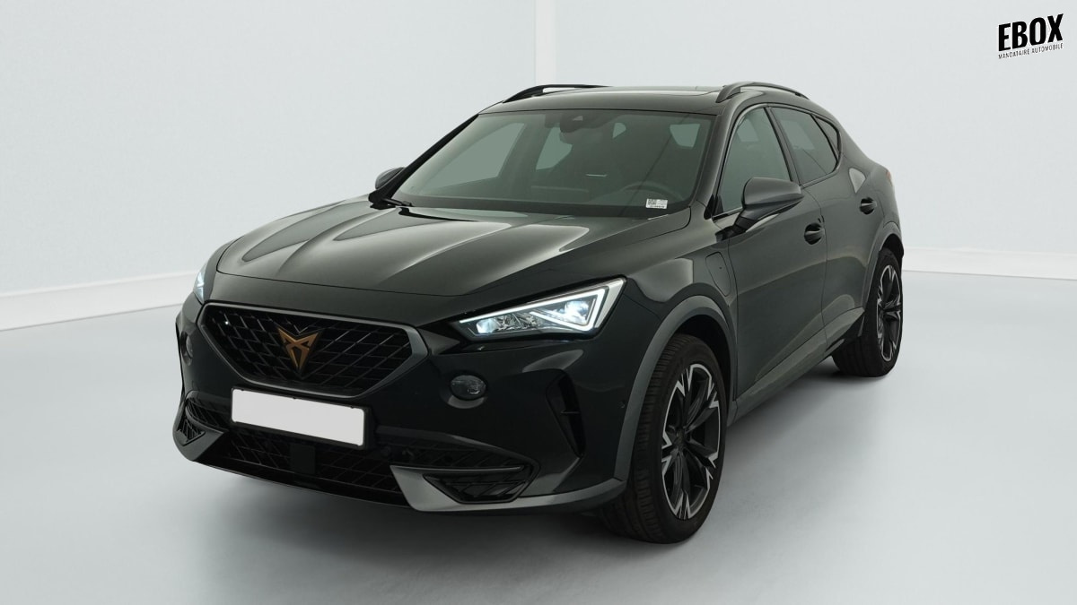 388588_p2 - CUPRA - FORMENTOR - 2024 - photo 3