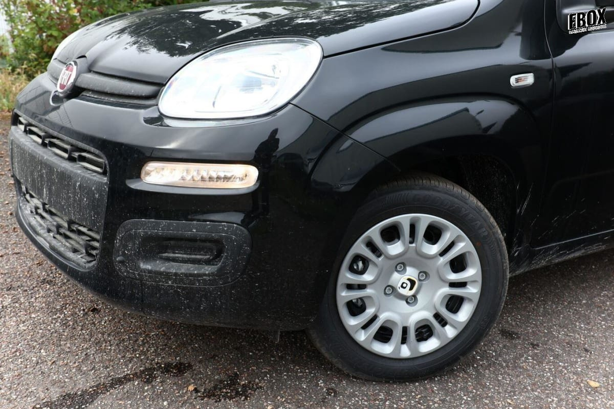396513_p2 - FIAT - PANDA - 2026 - photo 5