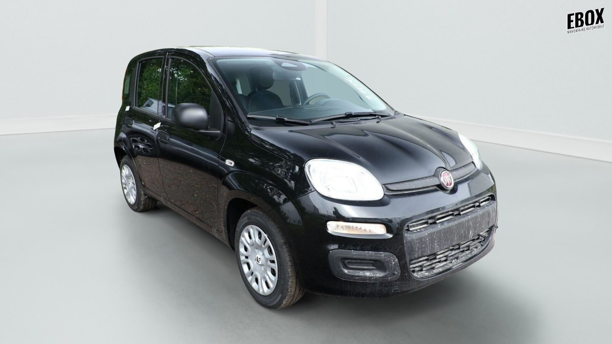 396513_p2 - FIAT - PANDA - 2026 - photo 2