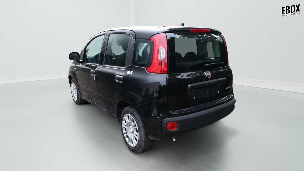 396513_p2 - FIAT - PANDA - 2026 - photo 4