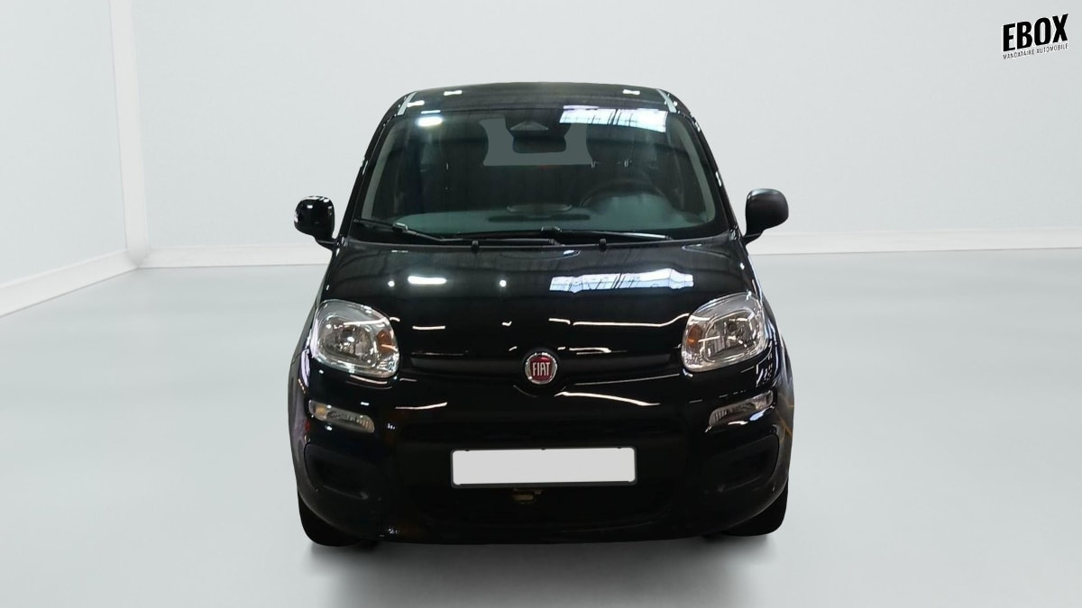 396192_p2 - FIAT - PANDINA - 2026 - photo 5