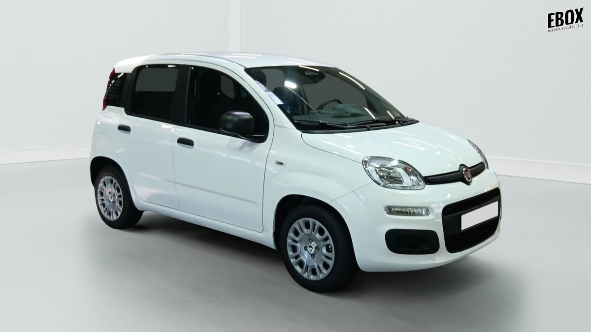 396188_p2 - FIAT - PANDINA - 2026 - photo 1