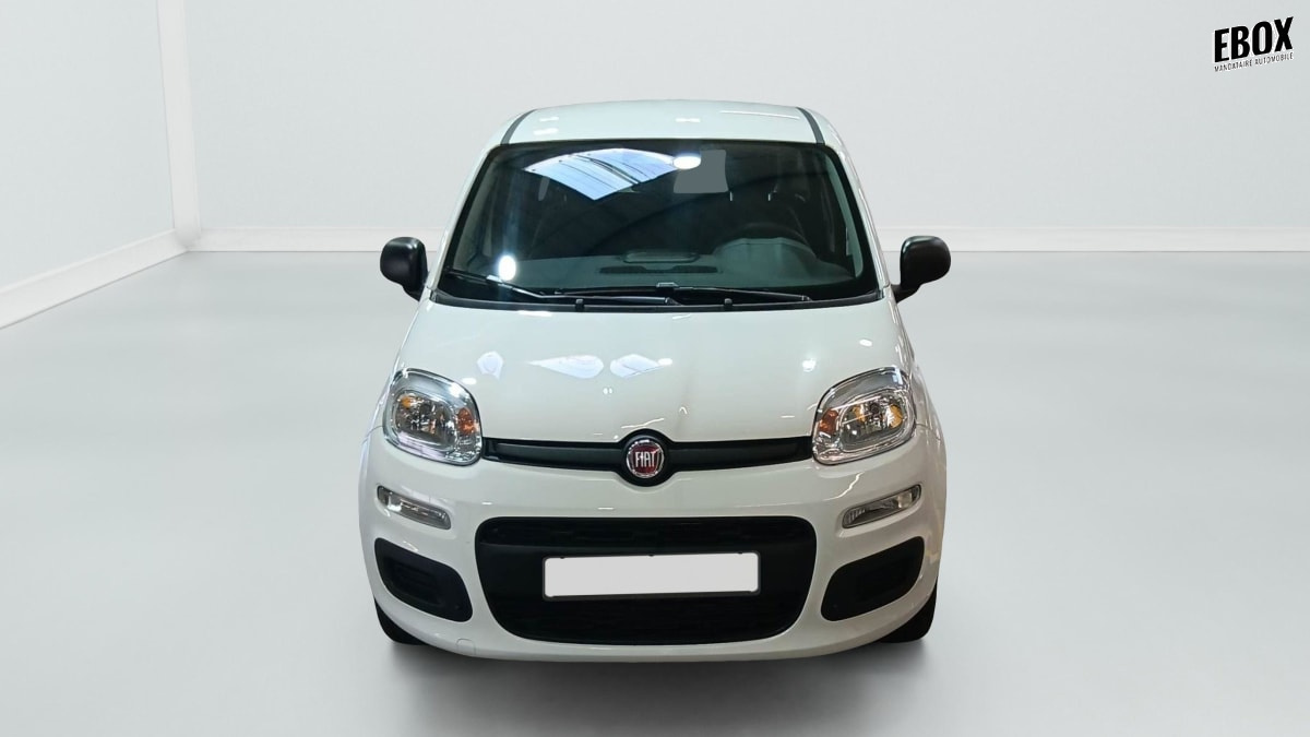 396188_p2 - FIAT - PANDINA - 2026 - photo 5