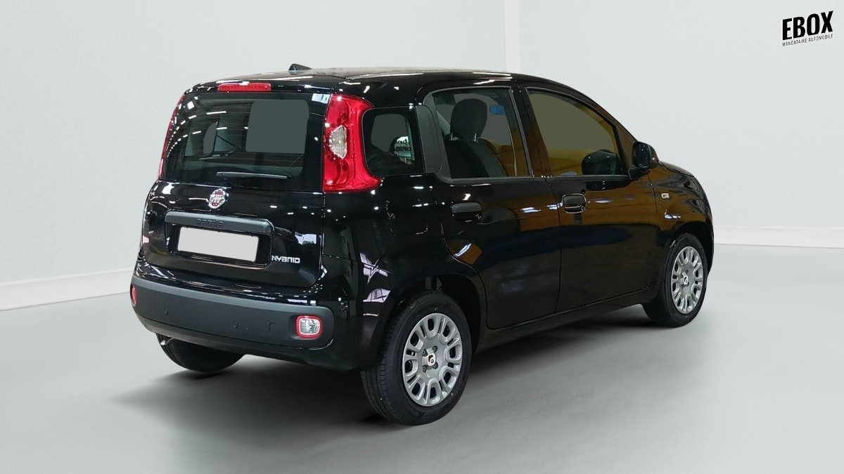 396192_p2 - FIAT - PANDINA - 2026 - photo 4