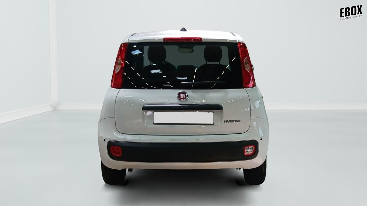 396188_p2 - FIAT - PANDINA - 2026 - photo 6