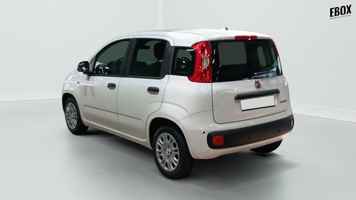 396188_p2 - FIAT - PANDINA - 2026 - photo 3