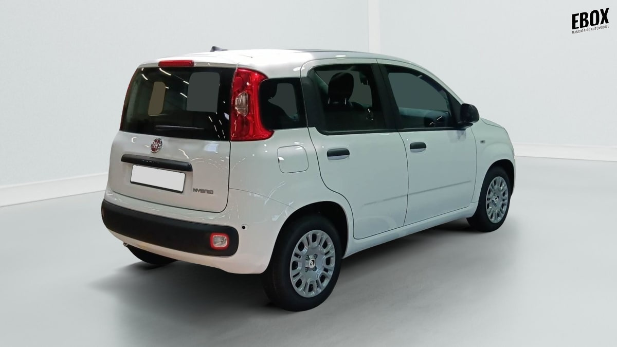 396188_p2 - FIAT - PANDINA - 2026 - photo 4