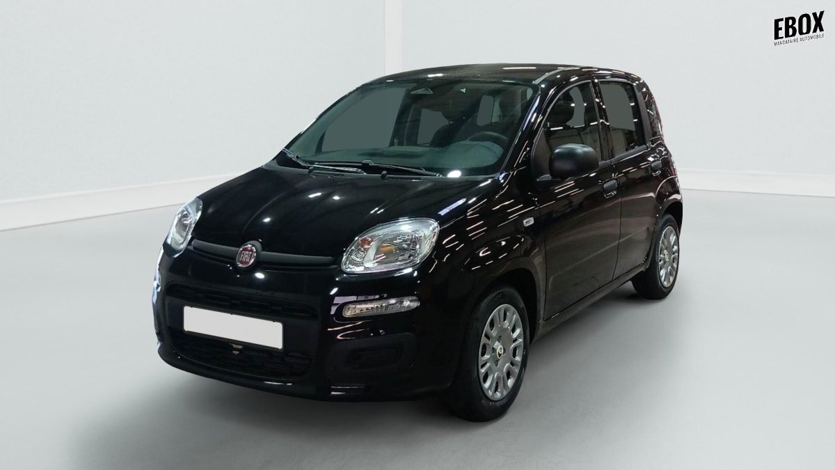 396192_p2 - FIAT - PANDINA - 2026 - photo 1