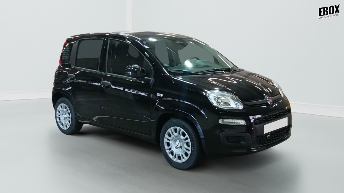 396192_p2 - FIAT - PANDINA - 2026 - photo 2