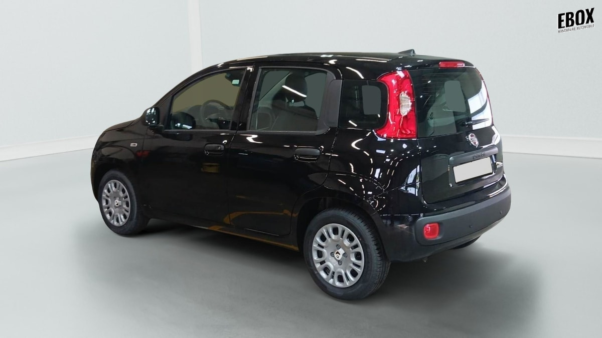 396192_p2 - FIAT - PANDINA - 2026 - photo 3