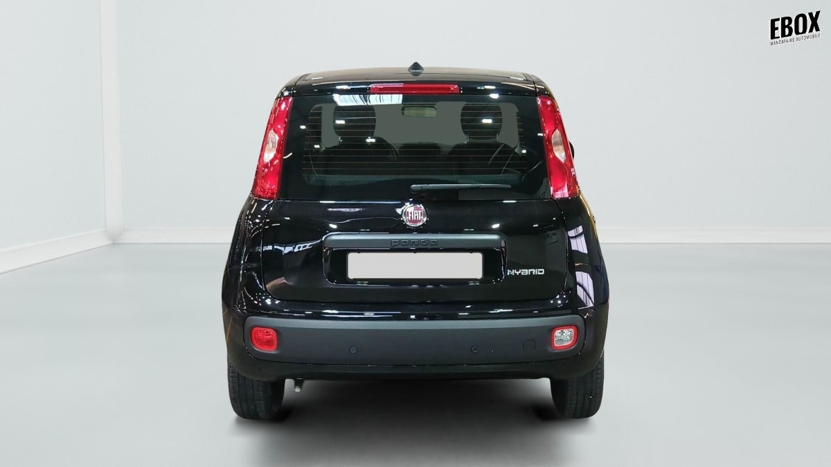 396192_p2 - FIAT - PANDINA - 2026 - photo 6