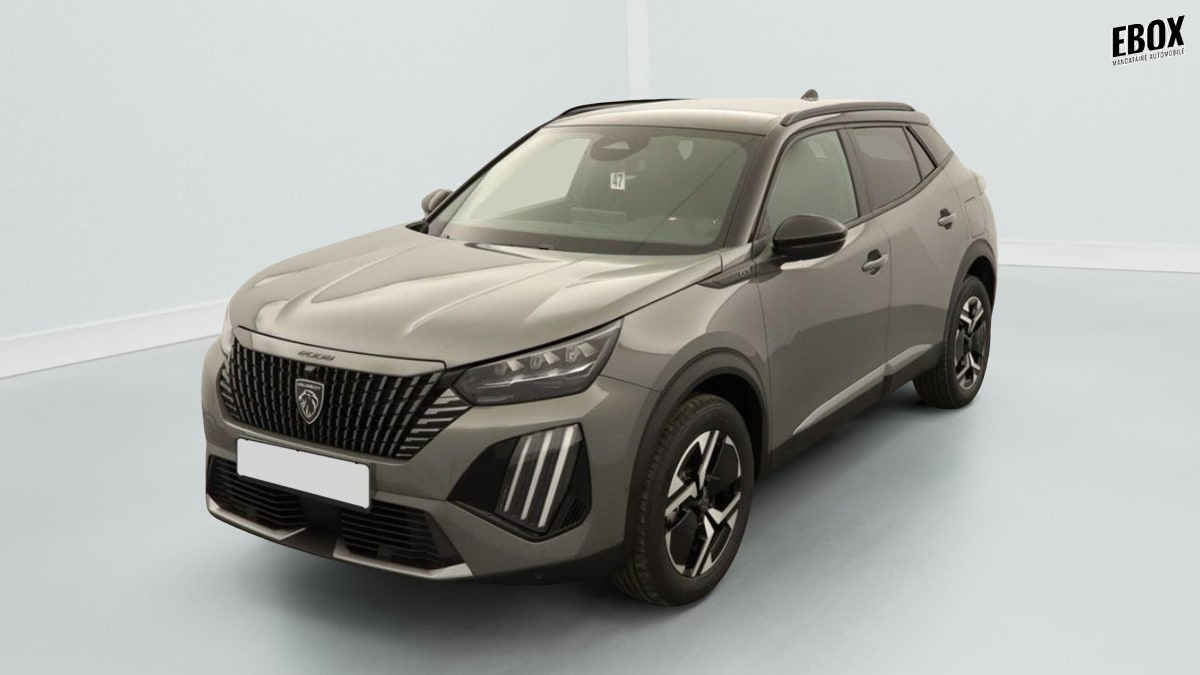 395682_p2 - PEUGEOT - 2008 - 2026 - photo 1