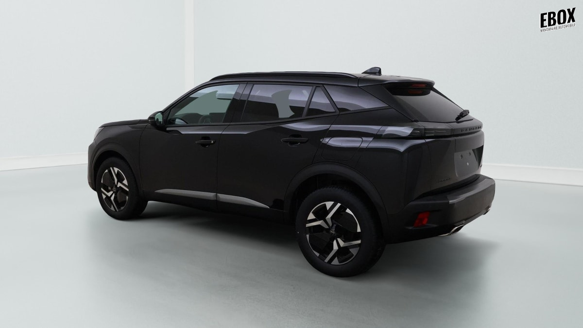 373199_p2 - PEUGEOT - 2008 - 2026 - photo 9