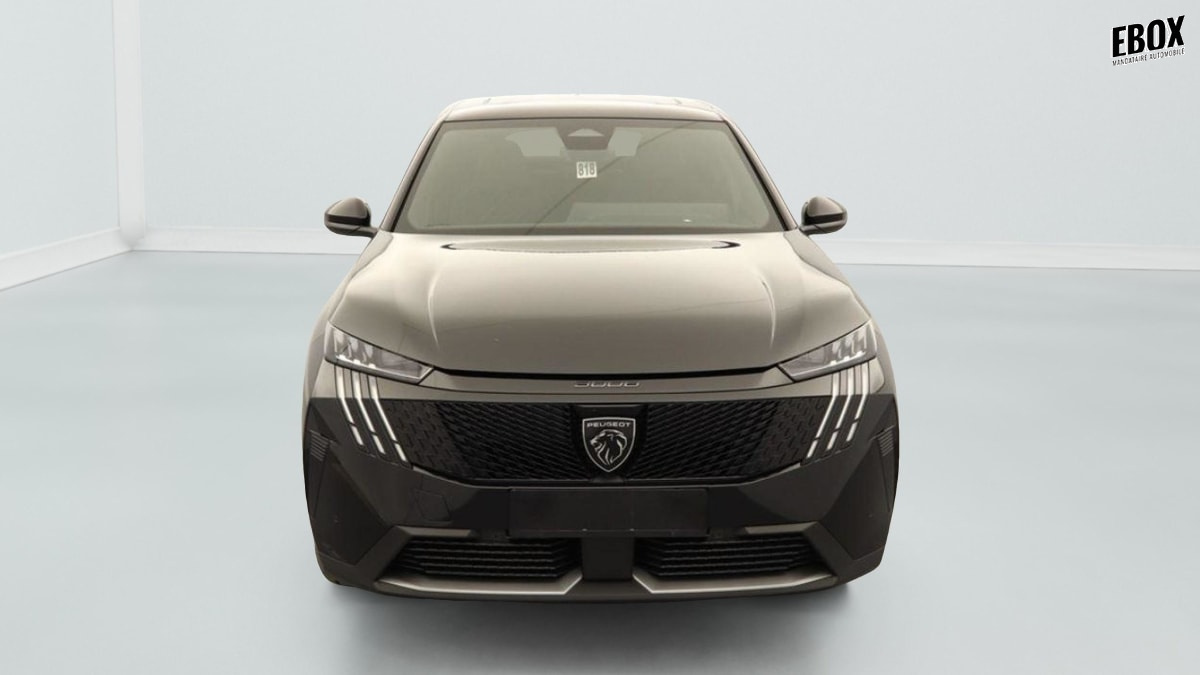 396366_p2 - PEUGEOT - 3008 - 2026 - photo 3