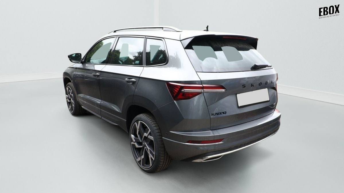 396049_p2 - SKODA - KAROQ - 2026 - photo 4