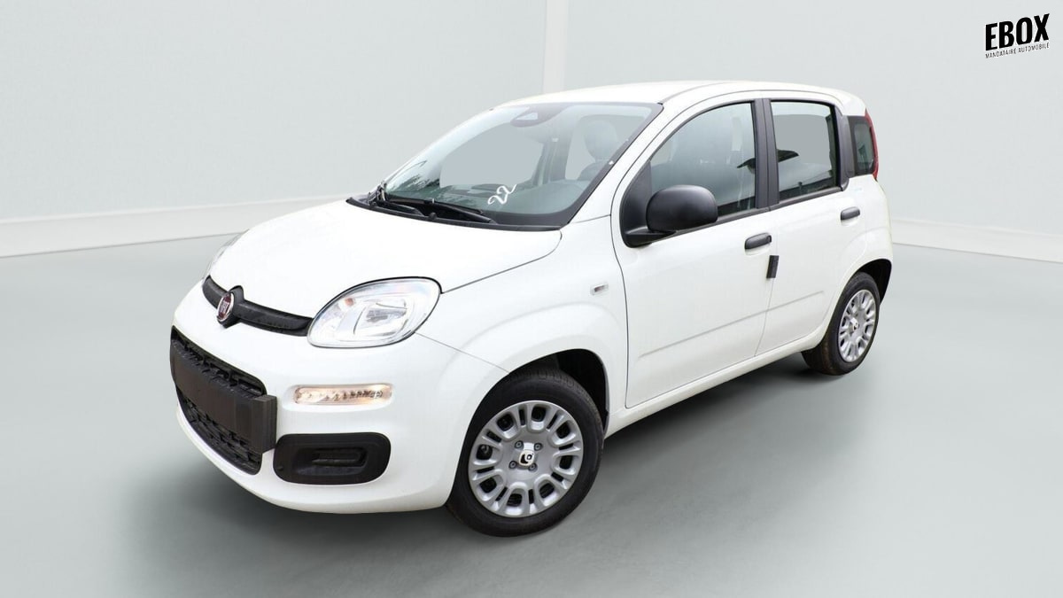 397874_p2 - FIAT - PANDA - 2026 - photo 2
