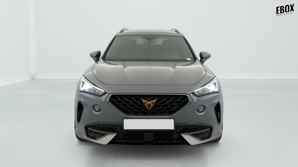 397207_p2 - CUPRA - FORMENTOR - 2023 - photo 2