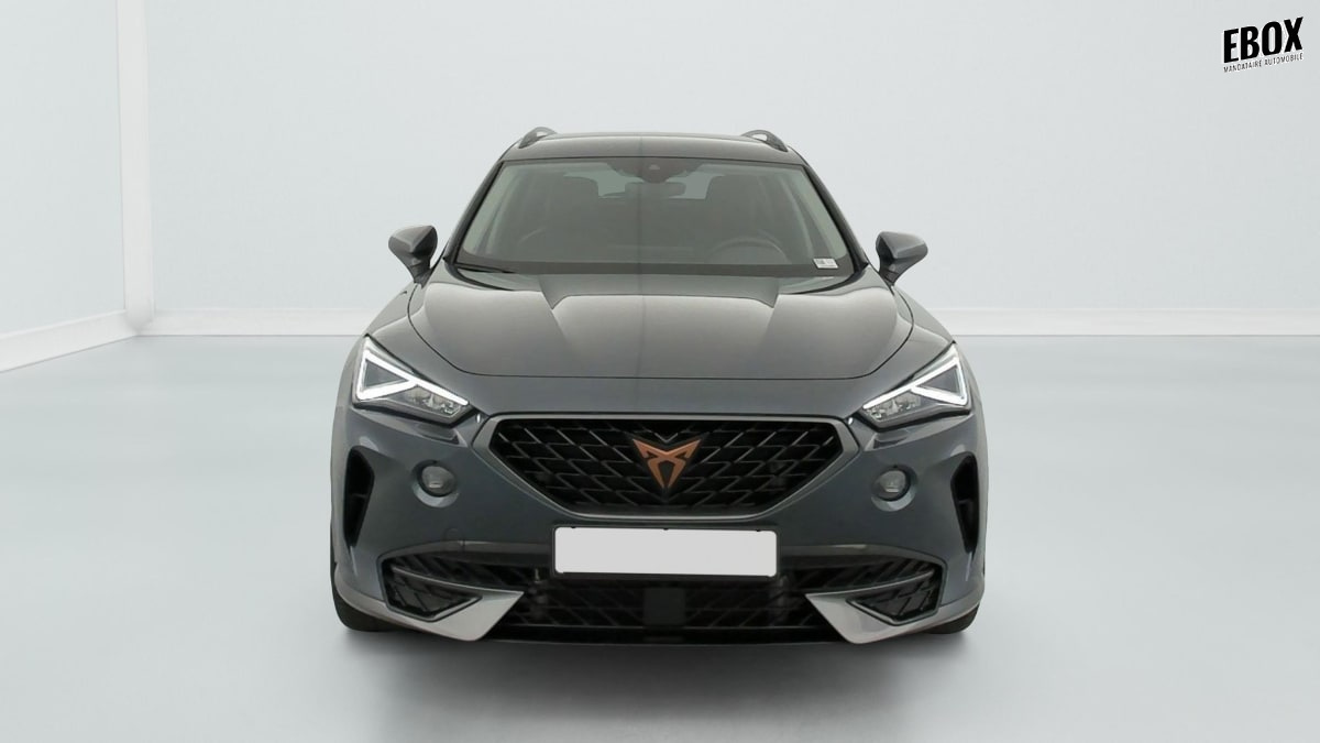 394237_p2 - CUPRA - FORMENTOR - 2023 - photo 2