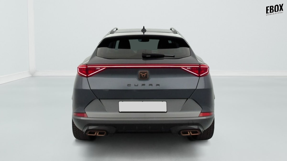394237_p2 - CUPRA - FORMENTOR - 2023 - photo 6