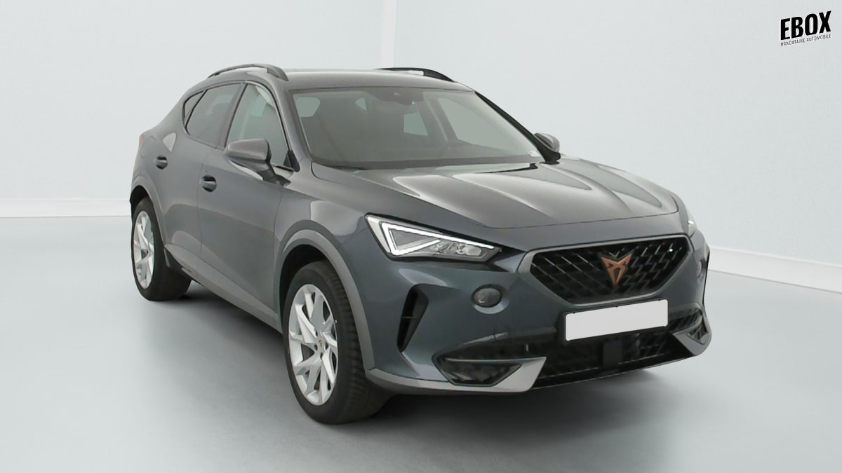 394237_p2 - CUPRA - FORMENTOR - 2023 - photo 1